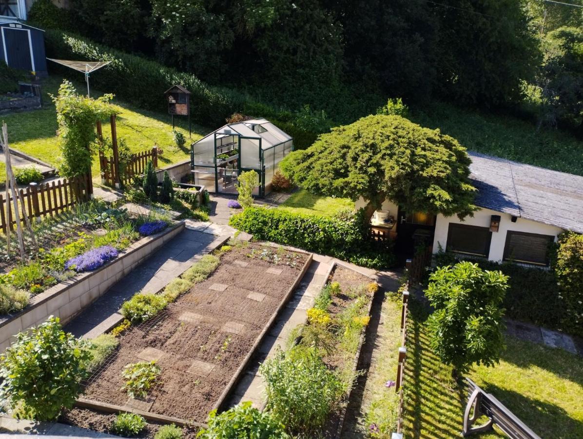 Ferienwohnung Pia Mettlach Esterno foto